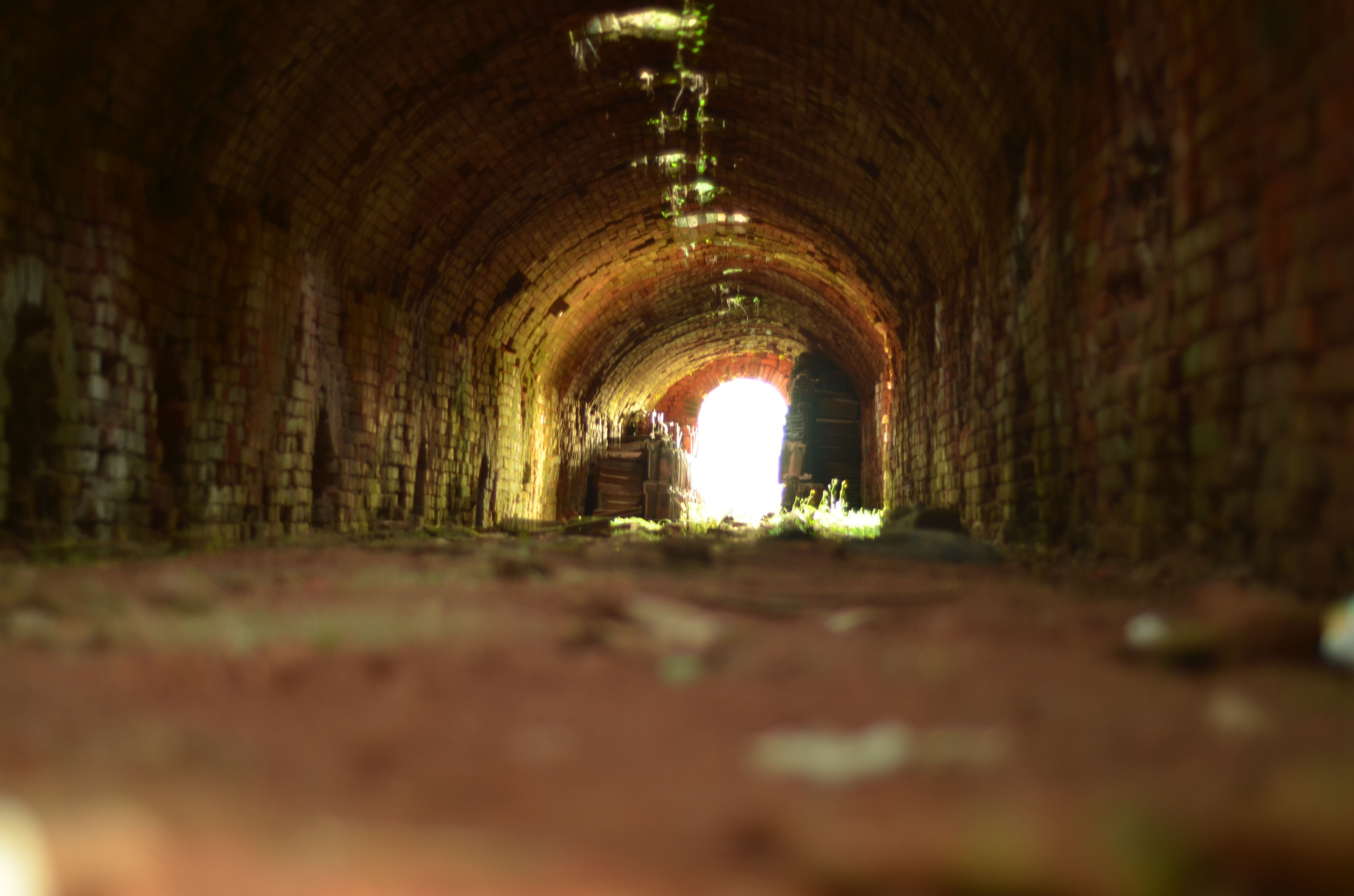 Registro Amigo do Patrimônio 1ª Edição